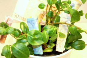 Steuerberater spart Ihnen mehr Geld
