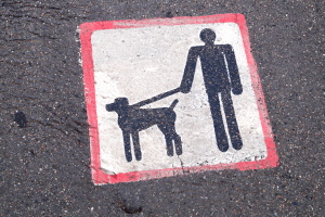 In einigen Bundesländern ist eine Haftpflichtversicherung für den Hund vorgeschrieben.